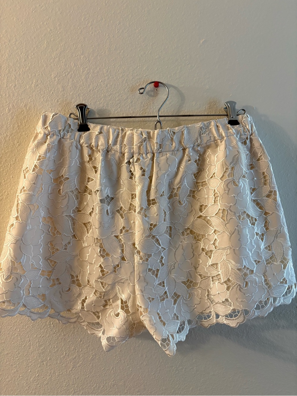 Express Cream Lace Floral Shorts